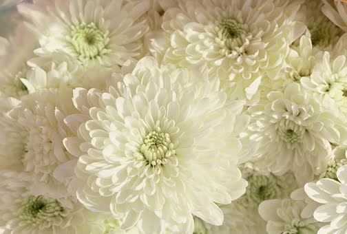 Life Changing Experience