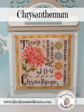 Chrysanthemum