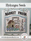 Hydrangea Seeds